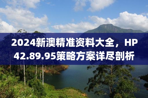 2024新澳精準(zhǔn)資料大全，HP42.89.95策略方案詳盡剖析