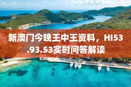 新澳門今晚王中王資料，HI53.93.53實時問答解讀