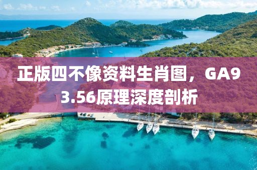 正版四不像資料生肖圖，GA93.56原理深度剖析