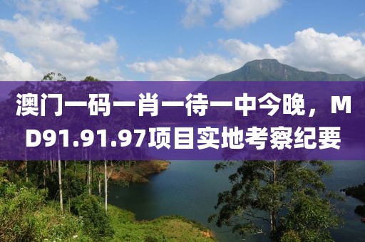 澳門一碼一肖一待一中今晚，MD91.91.97項目實地考察紀(jì)要