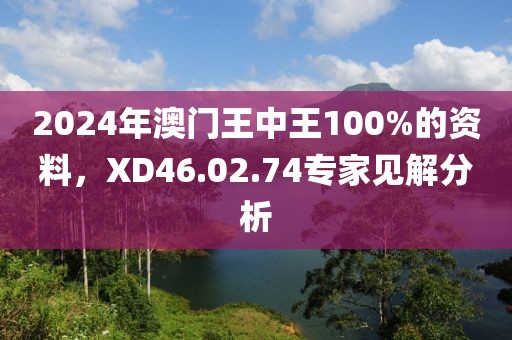 2024年澳門王中王100%的資料，XD46.02.74專家見解分析