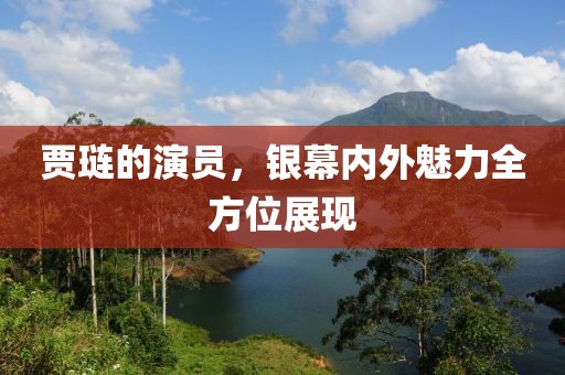 賈璉的演員，銀幕內(nèi)外魅力全方位展現(xiàn)