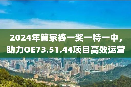 2024年管家婆一獎一特一中，助力OE73.51.44項目高效運(yùn)營
