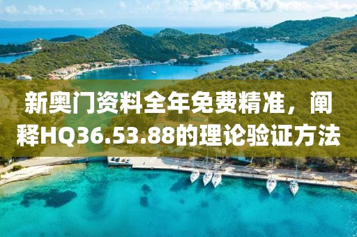 新奧門資料全年免費(fèi)精準(zhǔn)，闡釋HQ36.53.88的理論驗(yàn)證方法