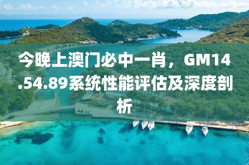 今晚上澳門必中一肖，GM14.54.89系統(tǒng)性能評(píng)估及深度剖析