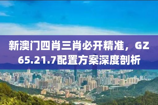 新澳門四肖三肖必開精準，GZ65.21.7配置方案深度剖析