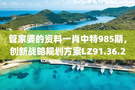 管家婆的資料一肖中特985期，創(chuàng)新戰(zhàn)略規(guī)劃方案LZ91.36.20