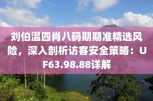 劉伯溫四肖八碼期期準(zhǔn)精選風(fēng)險，深入剖析訪客安全策略：UF63.98.88詳解