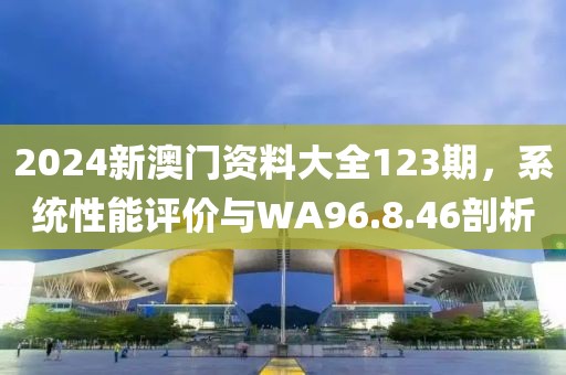 2024新澳門資料大全123期，系統(tǒng)性能評(píng)價(jià)與WA96.8.46剖析