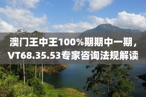 澳門王中王100%期期中一期，VT68.35.53專家咨詢法規(guī)解讀