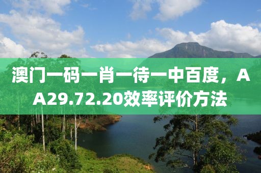 澳門一碼一肖一待一中百度，AA29.72.20效率評價方法