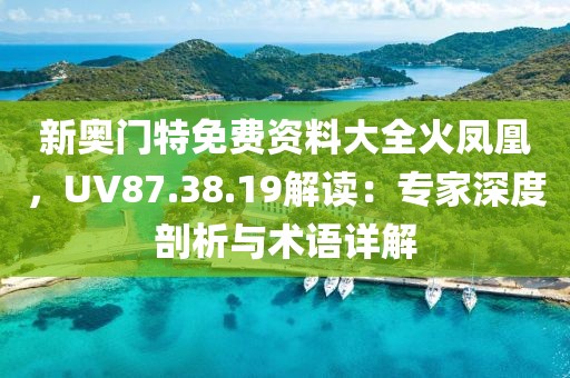 新奧門特免費(fèi)資料大全火鳳凰，UV87.38.19解讀：專家深度剖析與術(shù)語詳解