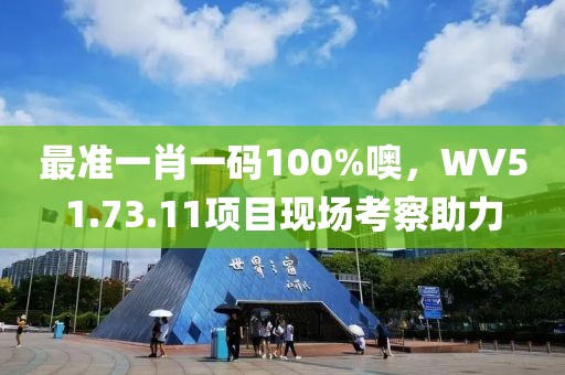最準(zhǔn)一肖一碼100%噢，WV51.73.11項目現(xiàn)場考察助力