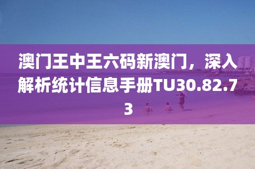 澳門王中王六碼新澳門，深入解析統(tǒng)計信息手冊TU30.82.73