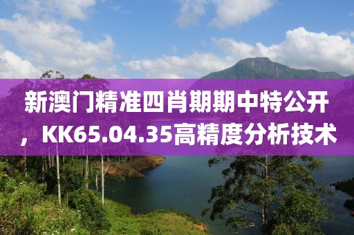新澳門精準(zhǔn)四肖期期中特公開，KK65.04.35高精度分析技術(shù)