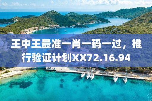 王中王最準(zhǔn)一肖一碼一過，推行驗(yàn)證計(jì)劃XX72.16.94