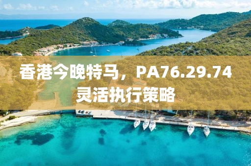 香港今晚特馬，PA76.29.74靈活執(zhí)行策略