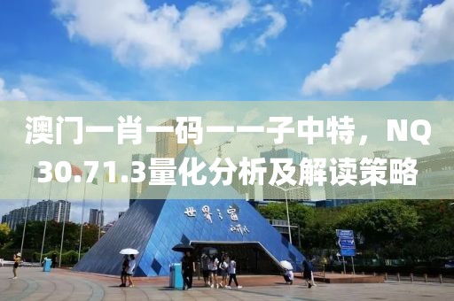 澳門一肖一碼一一子中特，NQ30.71.3量化分析及解讀策略