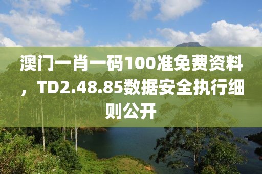 澳門一肖一碼100準(zhǔn)免費(fèi)資料，TD2.48.85數(shù)據(jù)安全執(zhí)行細(xì)則公開