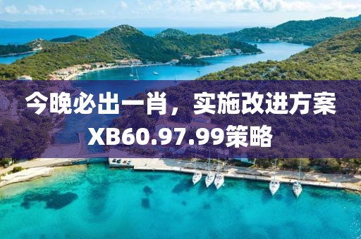 今晚必出一肖，實(shí)施改進(jìn)方案XB60.97.99策略