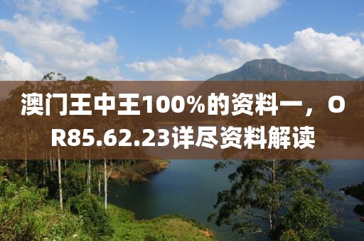 澳門(mén)王中王100%的資料一，OR85.62.23詳盡資料解讀