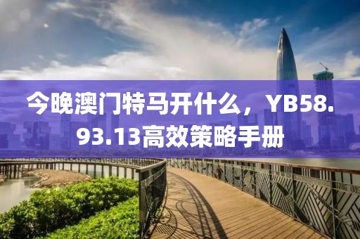 今晚澳門(mén)特馬開(kāi)什么，YB58.93.13高效策略手冊(cè)
