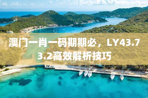 澳門(mén)一肖一碼期期必，LY43.73.2高效解析技巧