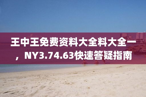 王中王免費(fèi)資料大全料大全一，NY3.74.63快速答疑指南