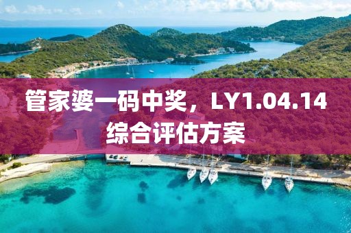 管家婆一碼中獎，LY1.04.14綜合評估方案