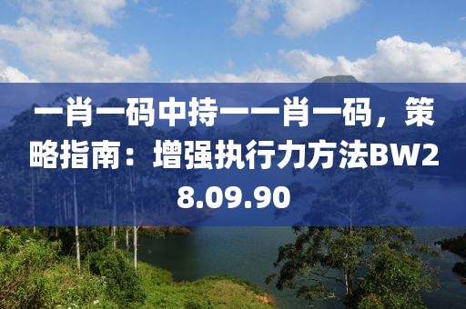 一肖一碼中持一一肖一碼，策略指南：增強執(zhí)行力方法BW28.09.90
