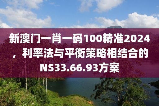 新澳門一肖一碼100精準(zhǔn)2024，利率法與平衡策略相結(jié)合的NS33.66.93方案