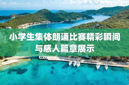 2024年12月 第19頁