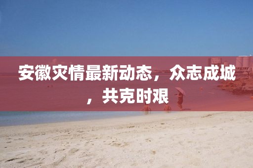 安徽災(zāi)情最新動(dòng)態(tài)，眾志成城，共克時(shí)艱