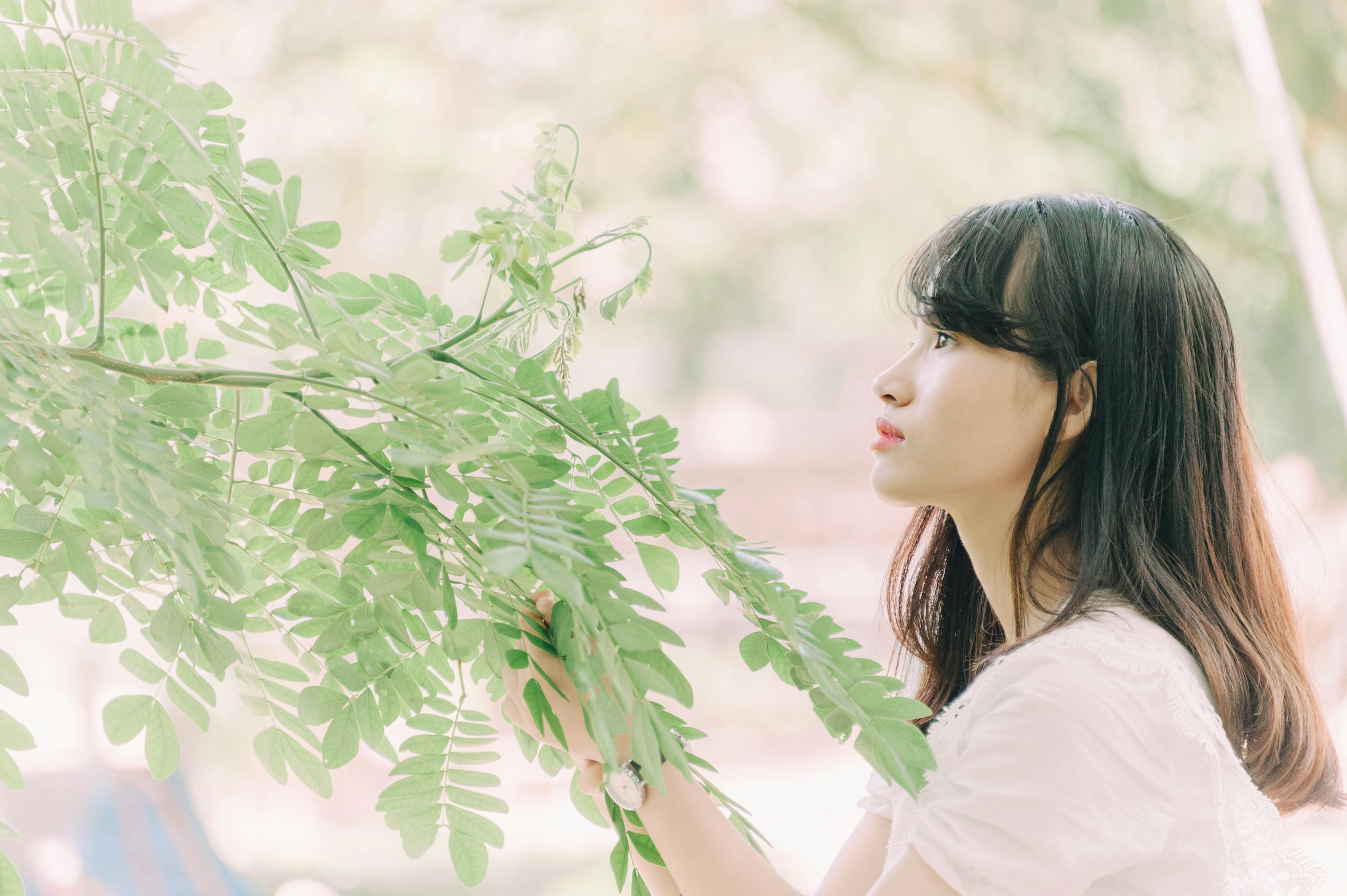 電視劇中國式離婚，深度解析婚姻挑戰(zhàn)與應(yīng)對策略