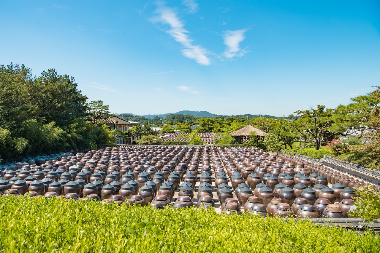 農(nóng)藥最新透視班深度探索，現(xiàn)代農(nóng)業(yè)的守護(hù)者揭秘