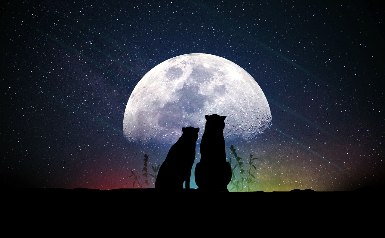 明星特寫(xiě)，探索光芒背后的故事