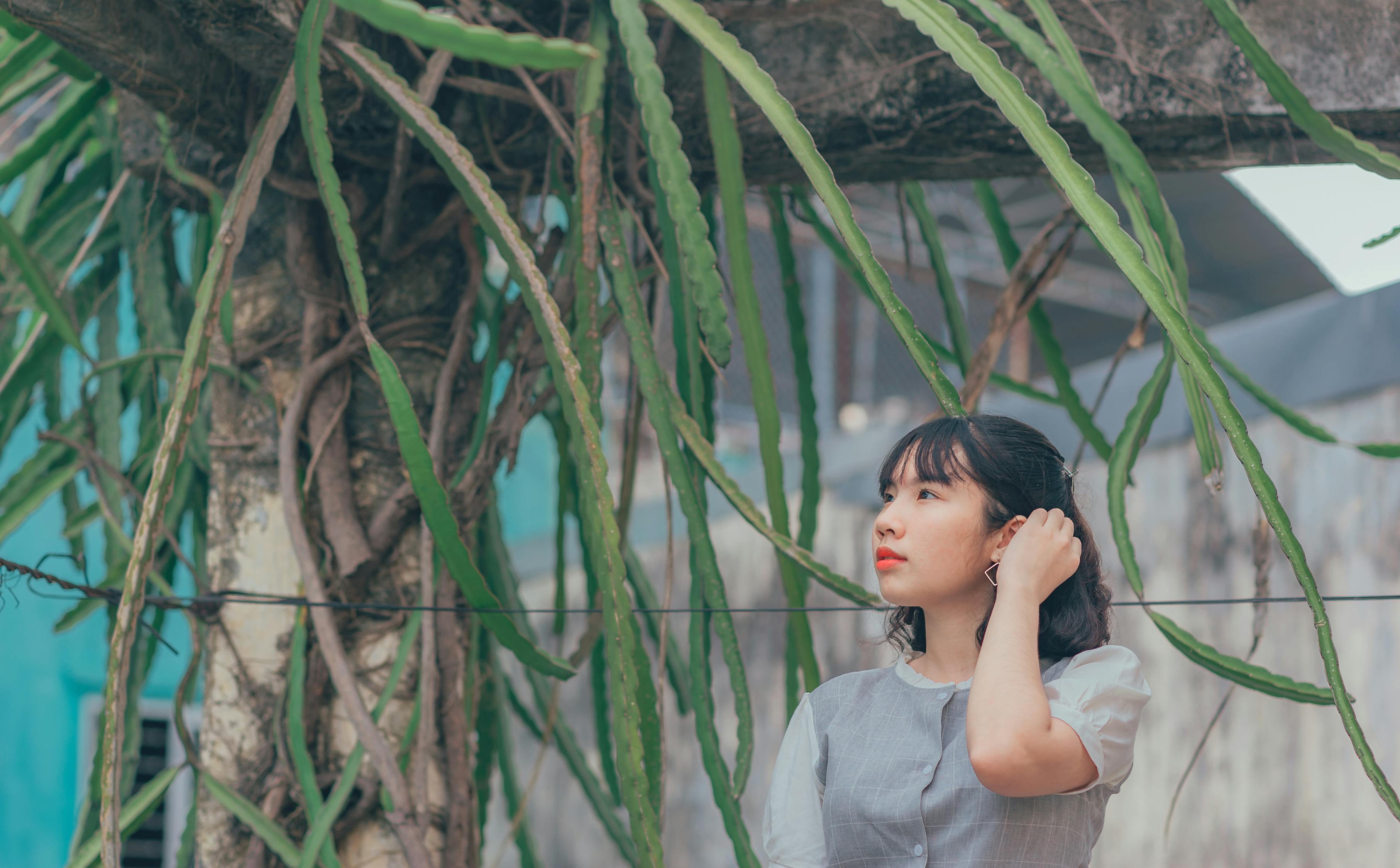 溫崢嶸，電視劇中的耀眼之星，作品全收錄