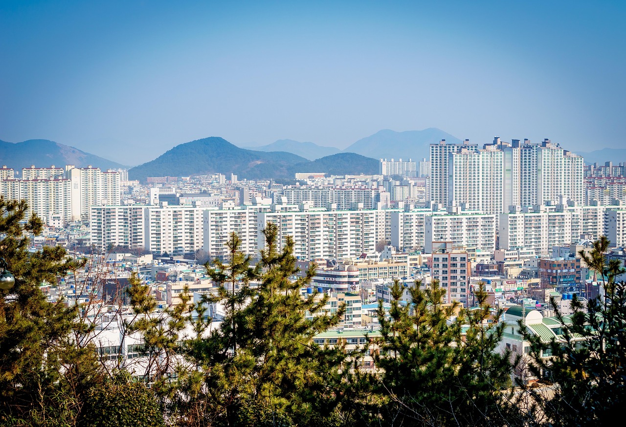 來賓市區(qū)最新城市規(guī)劃，塑造未來城市的藍(lán)圖藍(lán)圖展望
