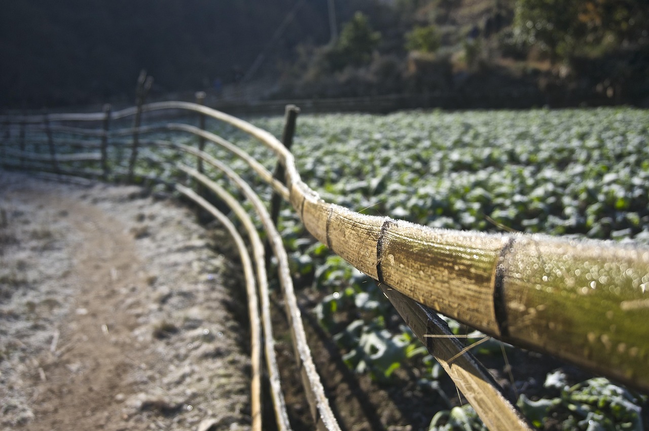華陰最新資訊概覽，全面解讀華陰動態(tài)與新聞熱點