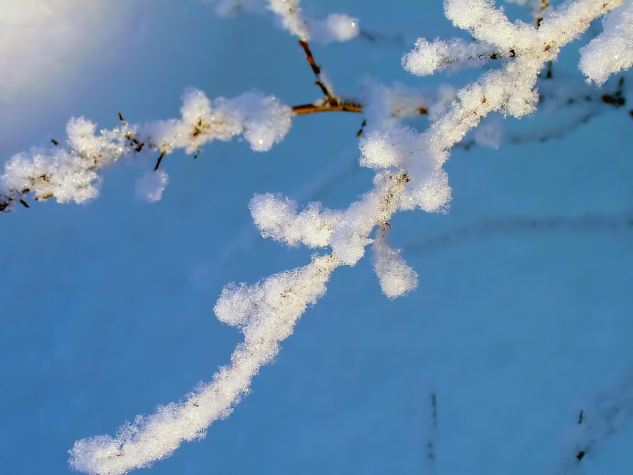 石家莊地震最新消息今日更新，背景分析與實(shí)時動態(tài)關(guān)注
